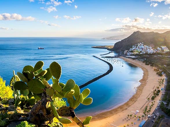 Isole Canarie e Madera 